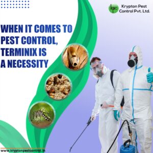 Krypton Pest Control services