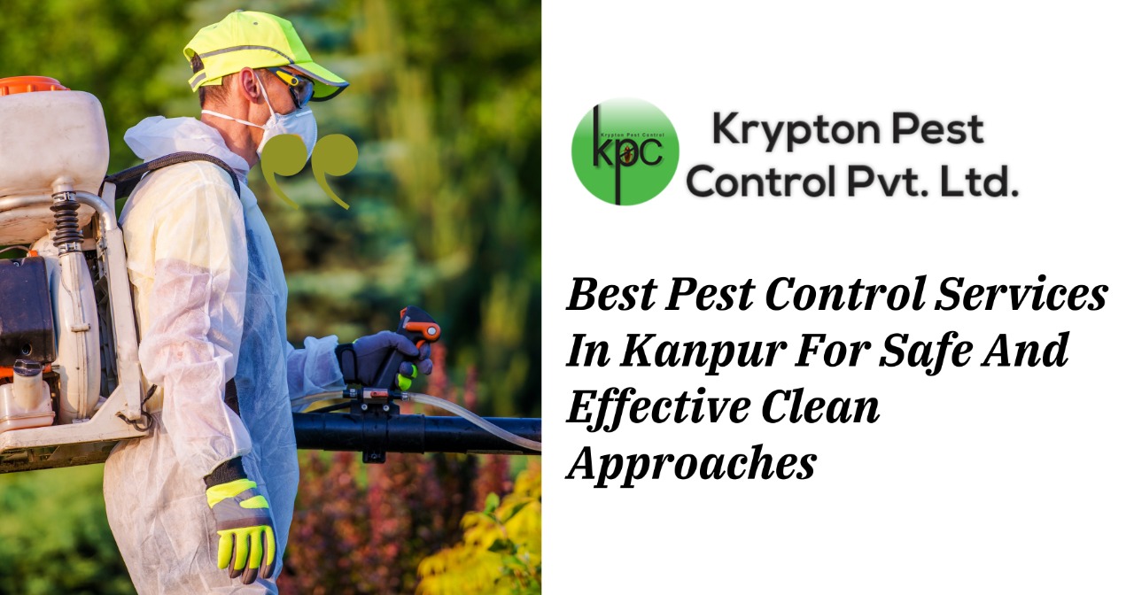 Best pest control services in kanpur