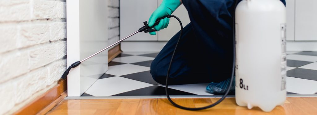 5 Reasons Why You Need Regular Pest Control Service